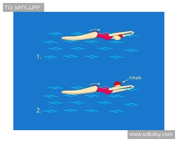 四种主要泳姿技巧解析与训练方法详解