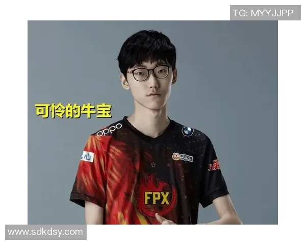 深入探讨FPX团队协作表现与数据分析的关系及其对战绩的影响