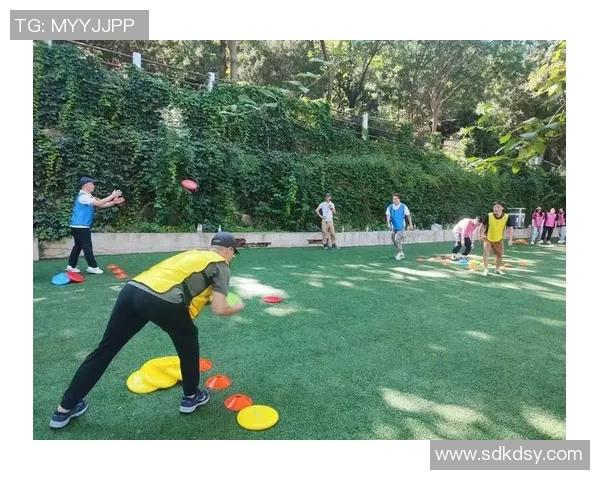 成都飞盘队耐力训练的挑战与突破探索之旅