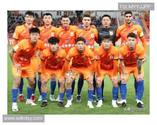 体育馆内的足球明星们如何影响年轻球员的成长与发展